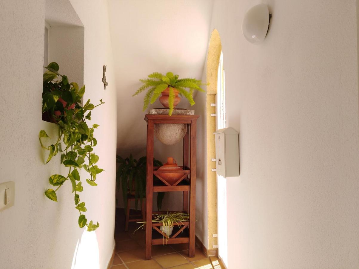 Apto. Pina De Mar Costa Adeje  Bagian luar foto