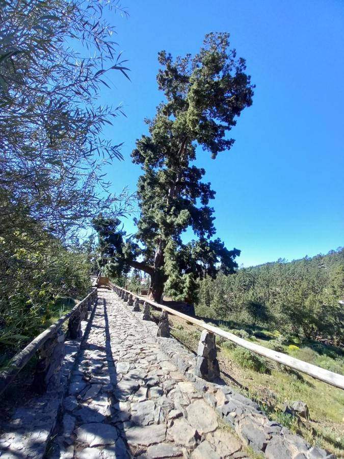 Apto. Pina De Mar Costa Adeje  Bagian luar foto
